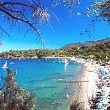 Corsetti Glicine Capoliveri (Isola d'Elba)